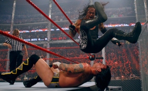 CM Punk, The Undertaker, WWE Hell in a Cell 2009