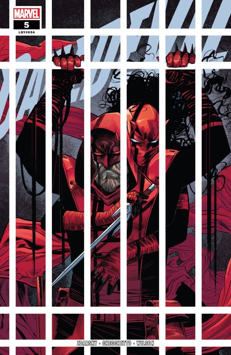 daredevil-5-cover-november-2022-marco-checchetto.jpg