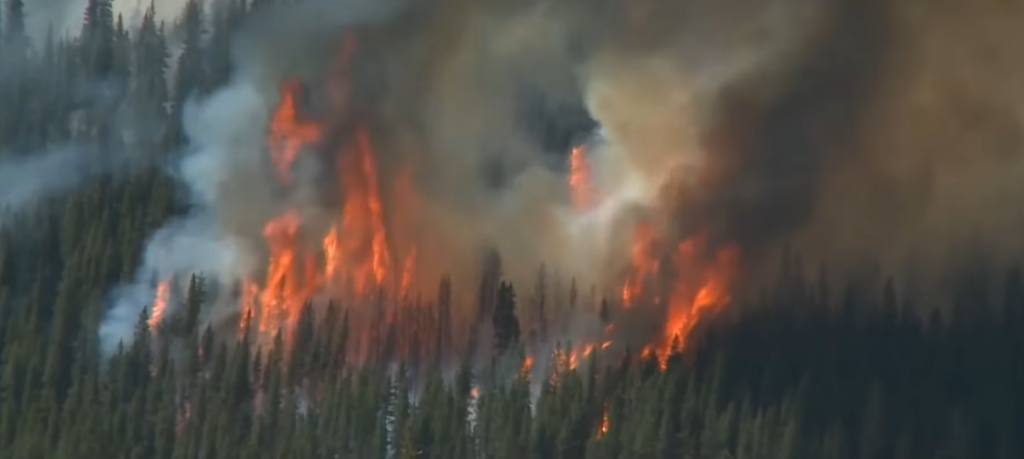 The Climate Security Threat: How Defense Contractors Are Pivoting to Address Environmentally Driven Conflicts